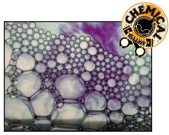 Chemical Guys HoneyDew Snow Foam - 16 oz - Detailed Image